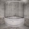 Стеклянная шторка на ванну Радомир Элджин - фото 6901